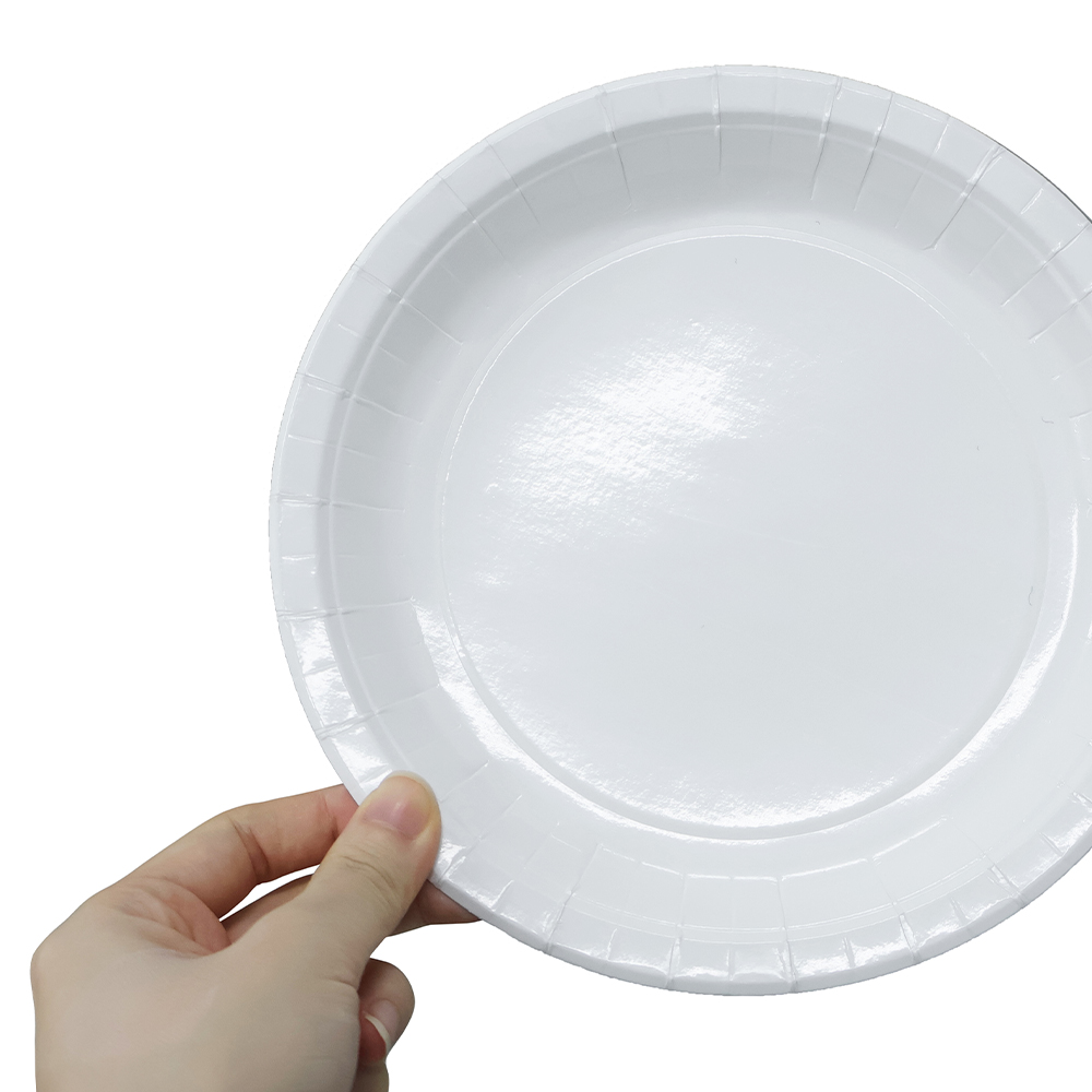 종이접시 10매