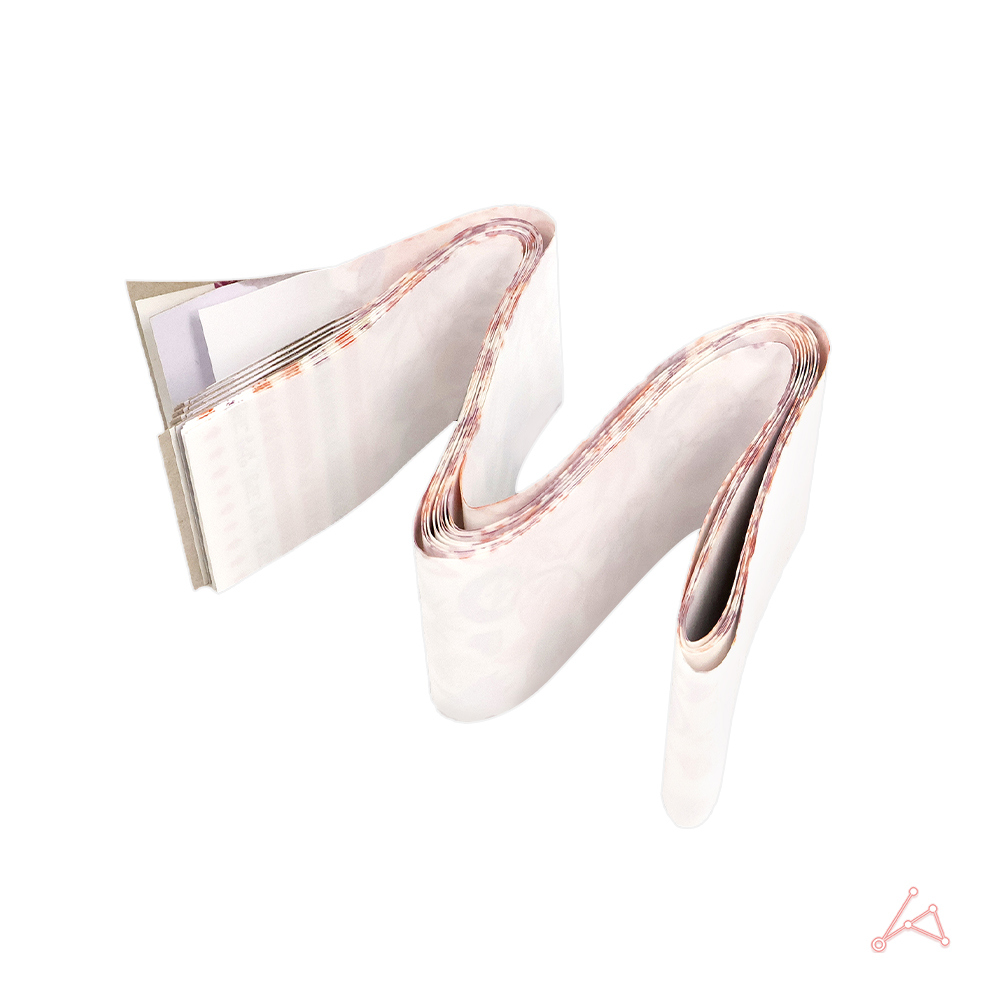 노런 왕파리끈끈이