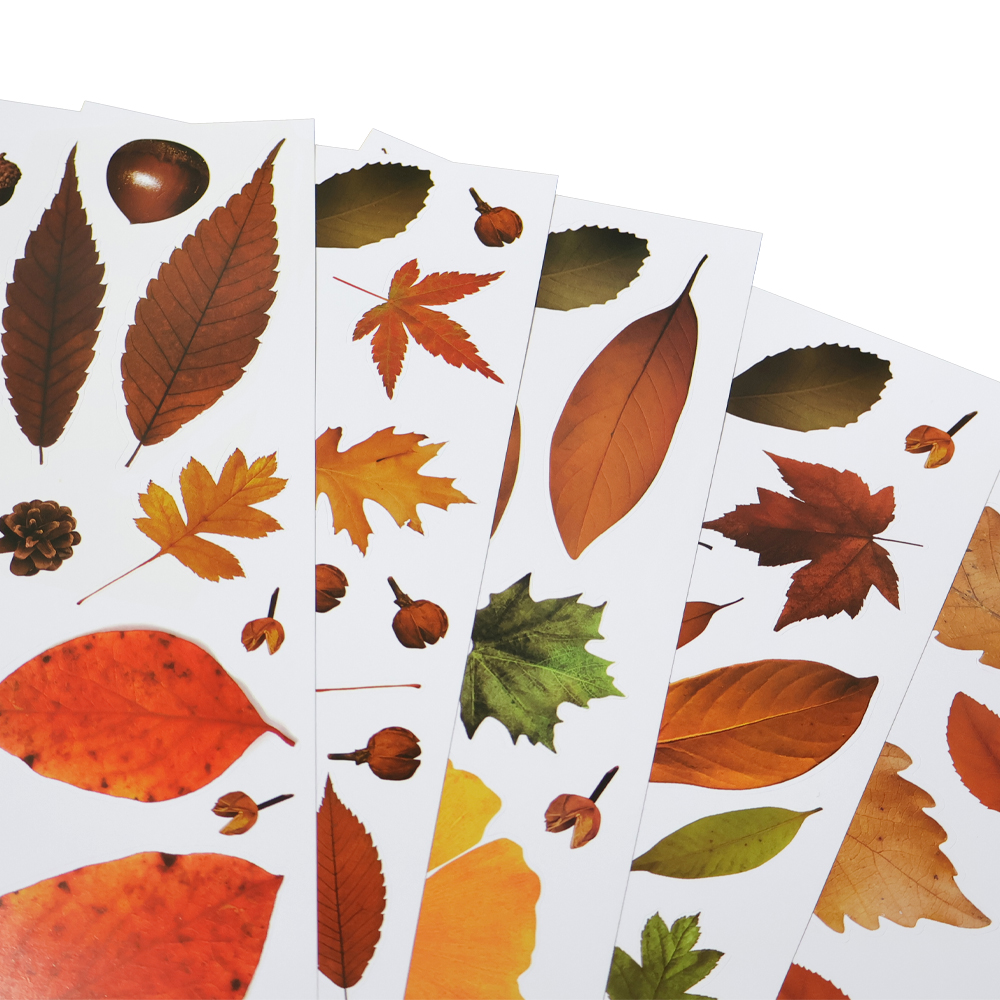 꾸미기 스티커 5매