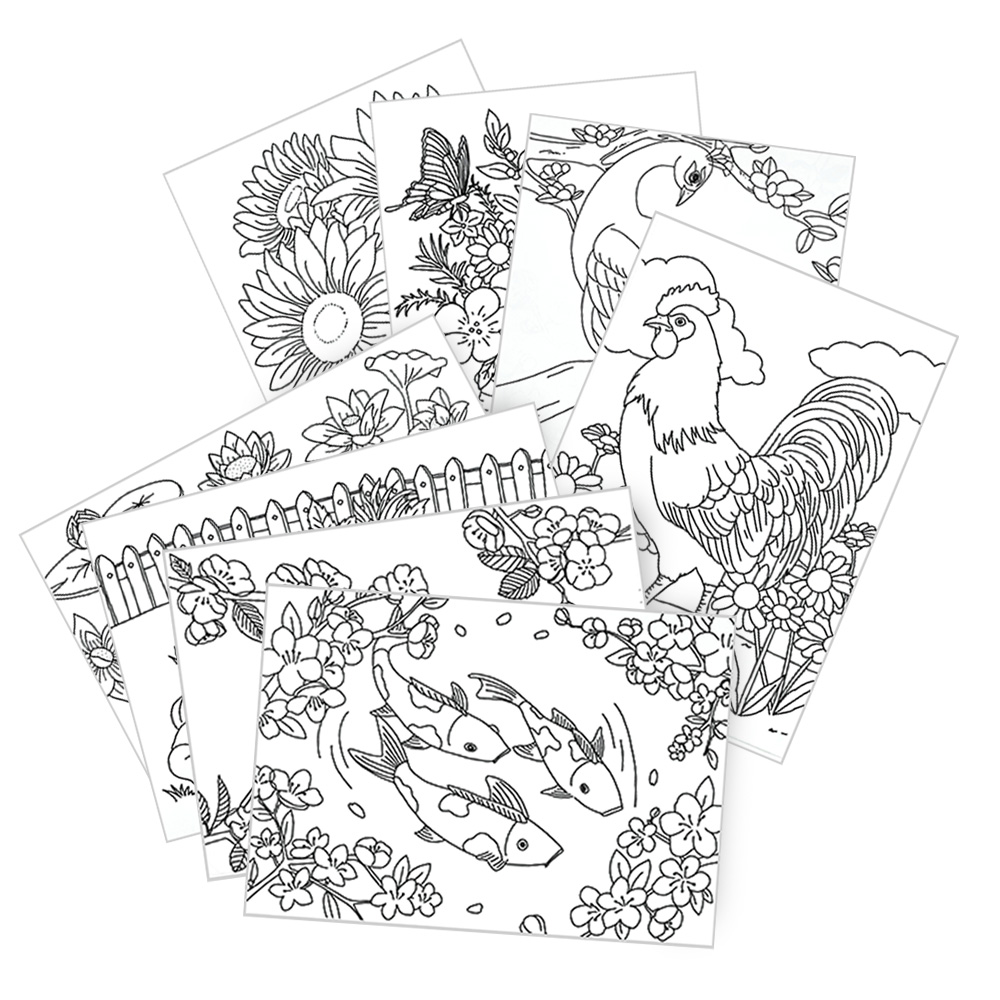 시니어 컬러링북