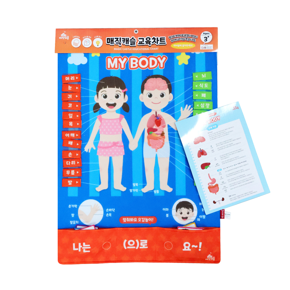 차트 소중한 나의 몸 배우기