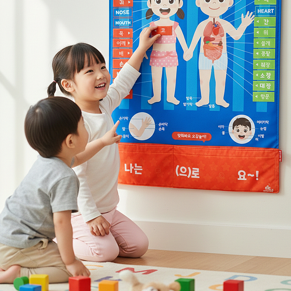 차트 소중한 나의 몸 배우기