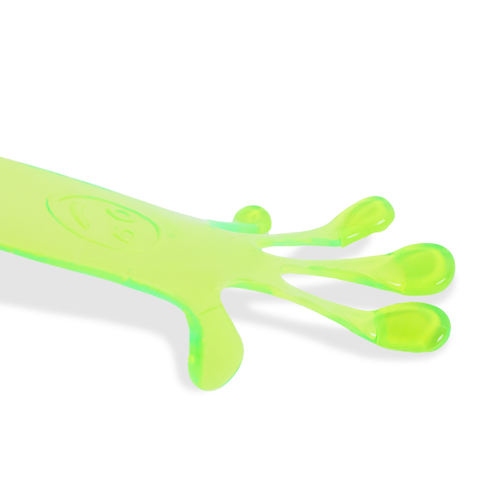 왕손바닥끈끈찐득이