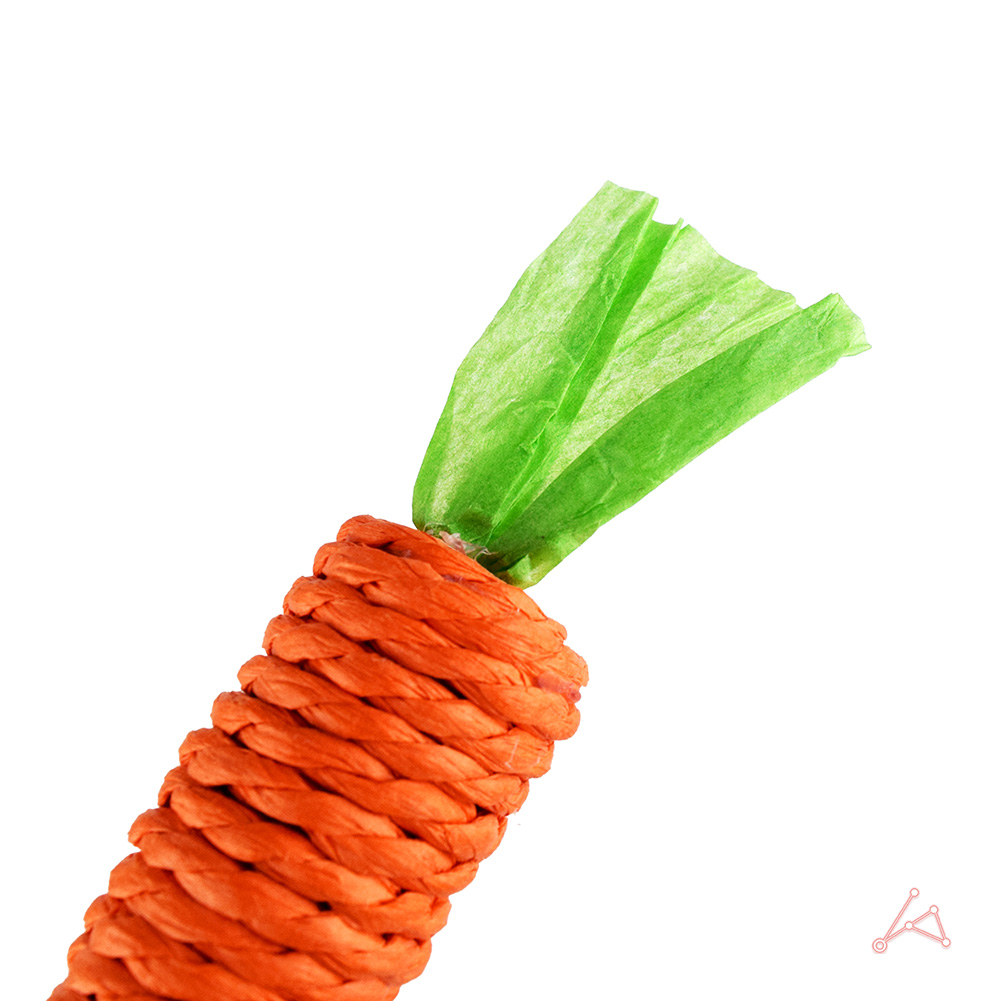 당근 강아지 장난감