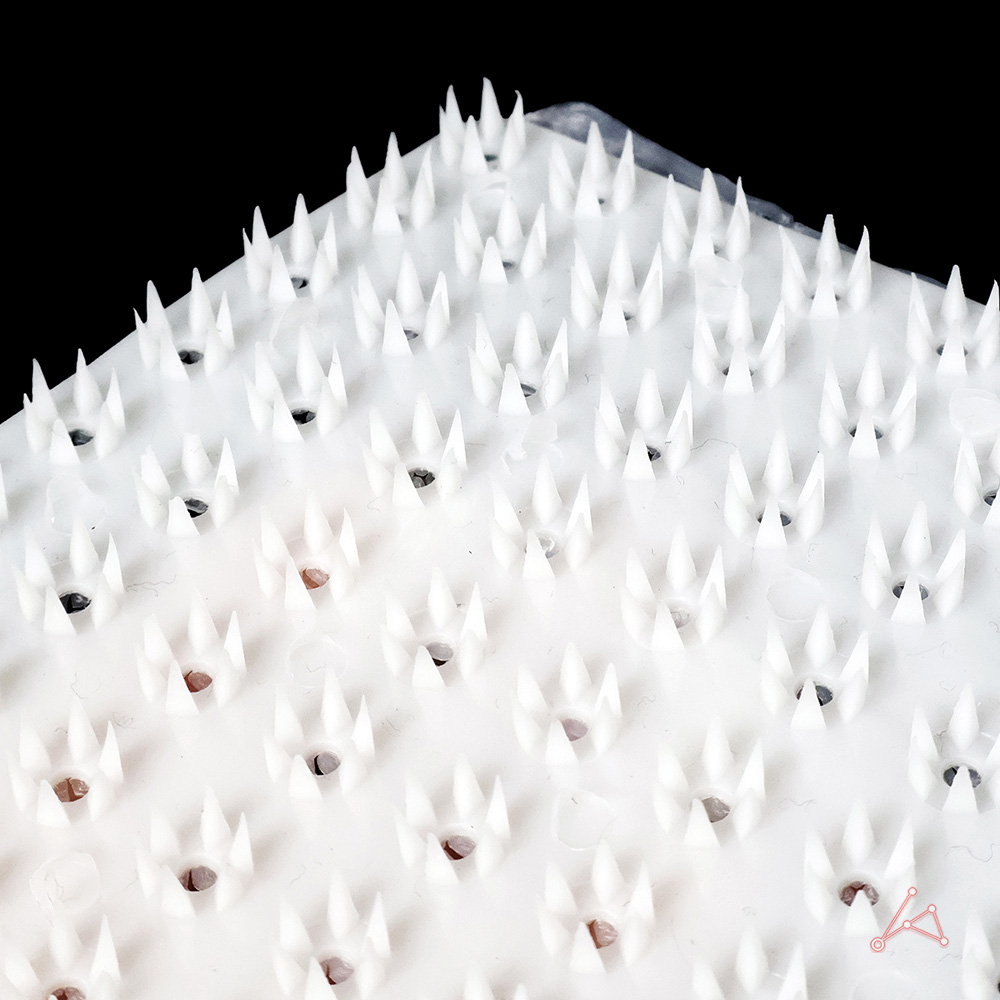 야채 세척 실리콘 브러쉬