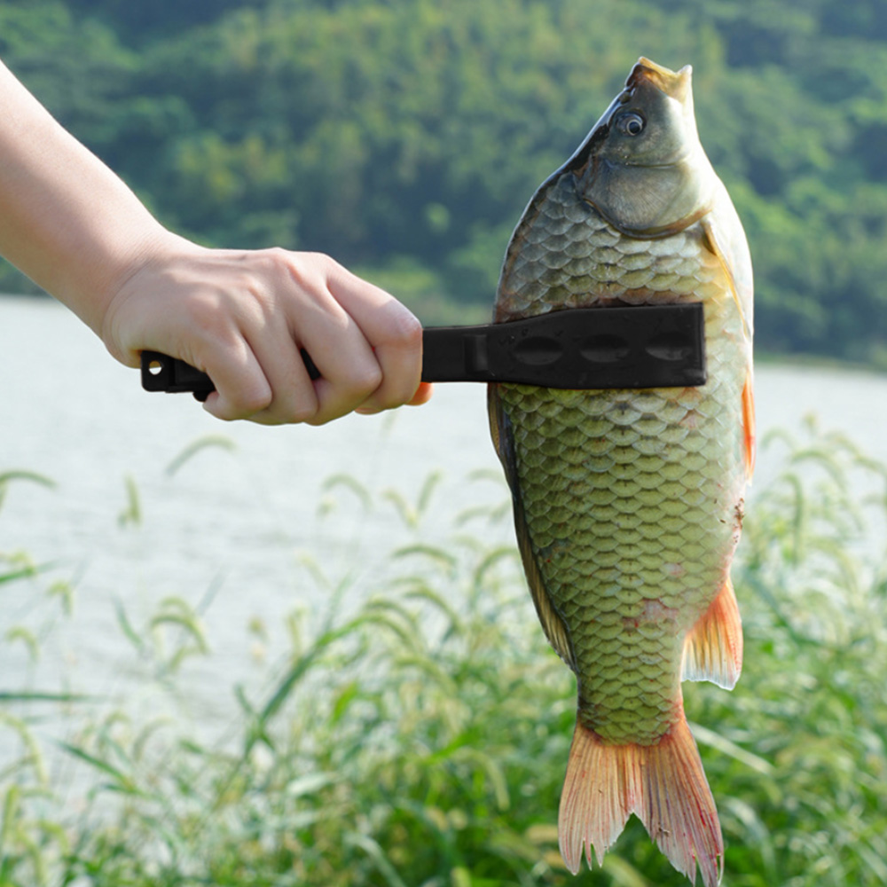 낚시 물고기 집게