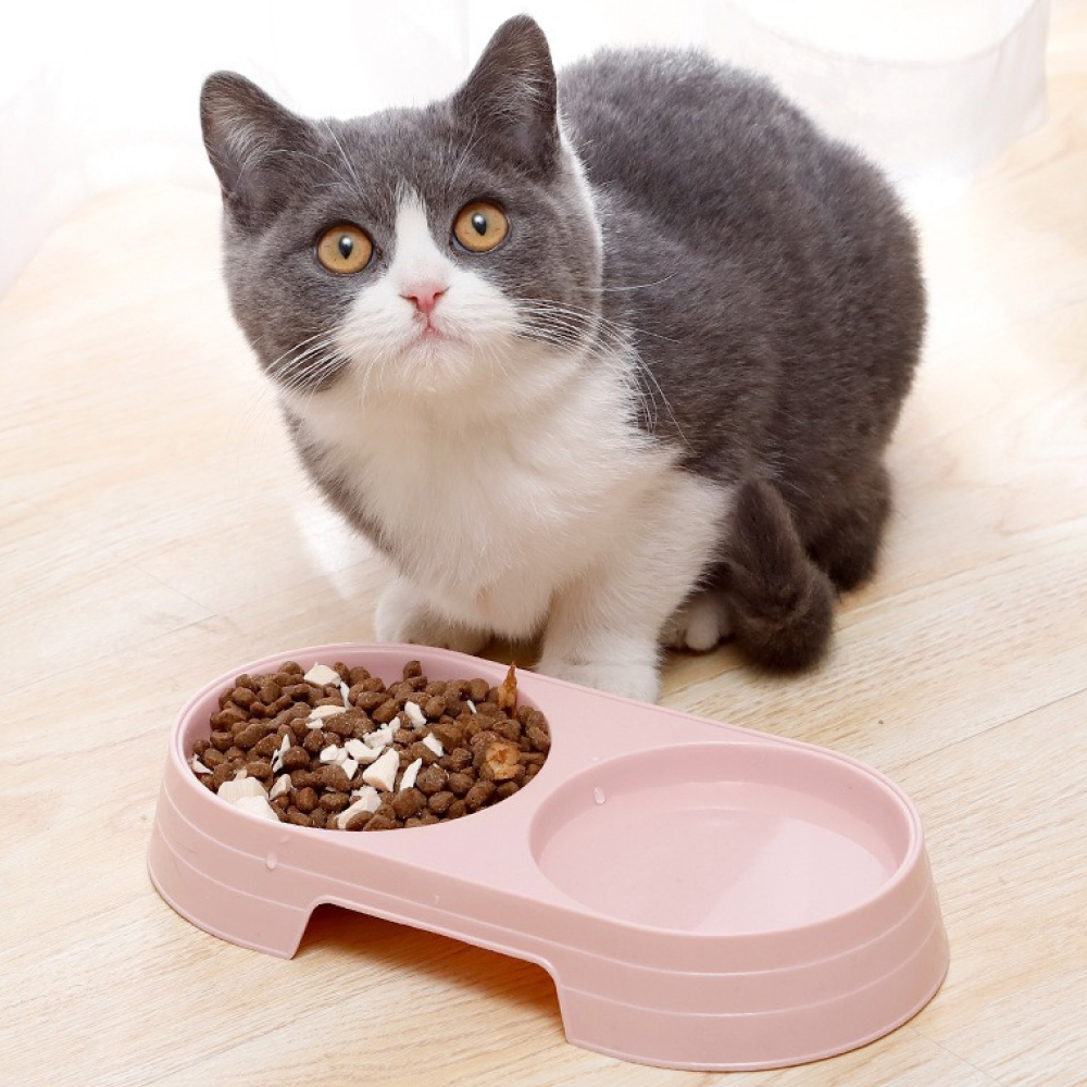 2구 애완용 식기 1p