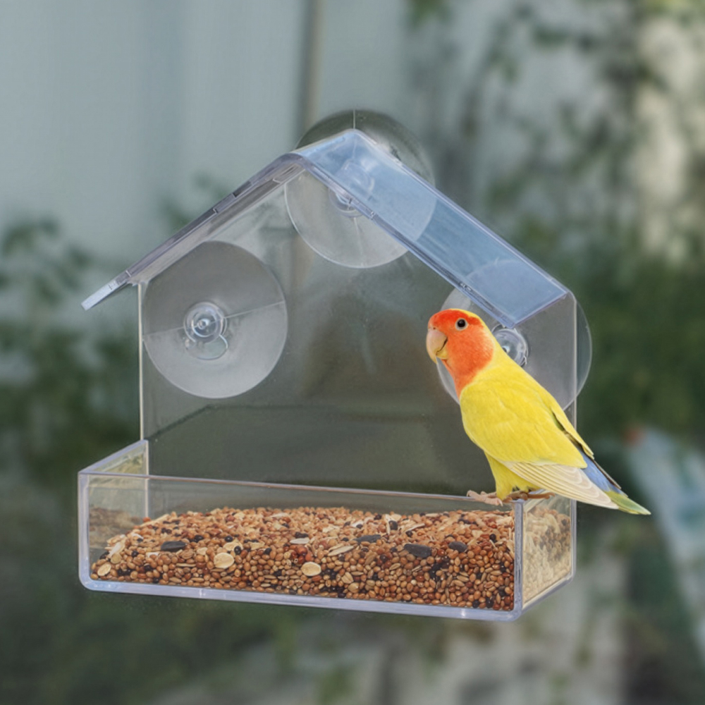 투명한 새 먹이통