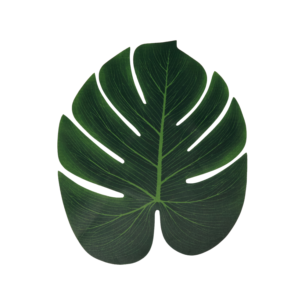 몬스테라 장식 매트 12p