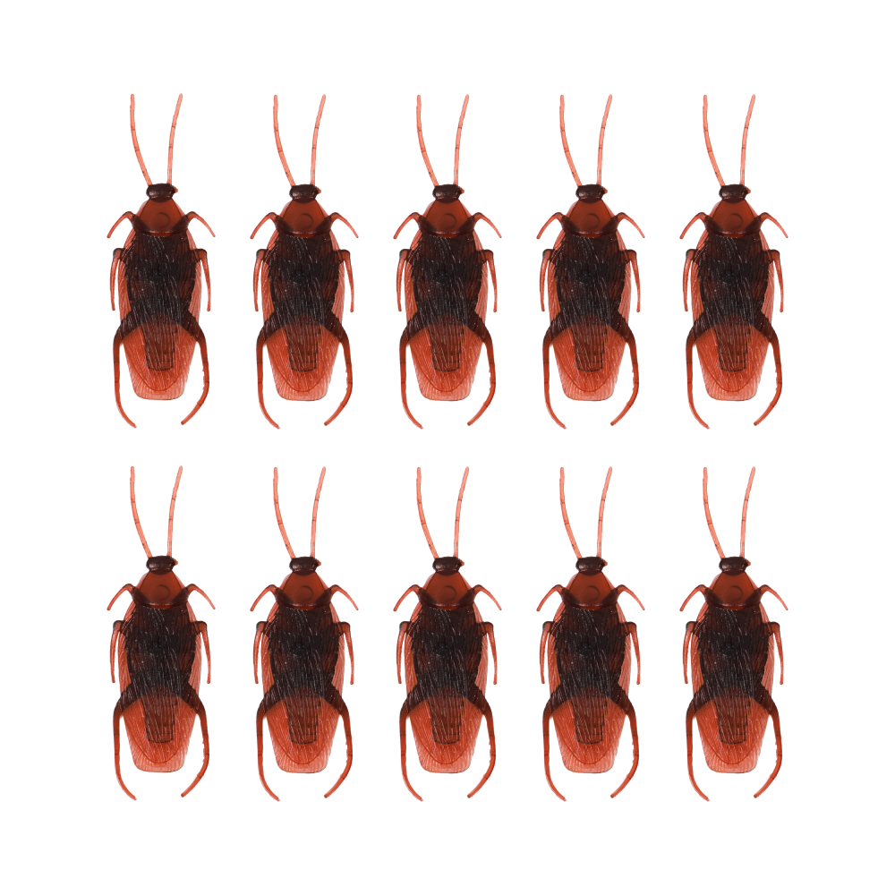 바퀴벌레 모형 10p