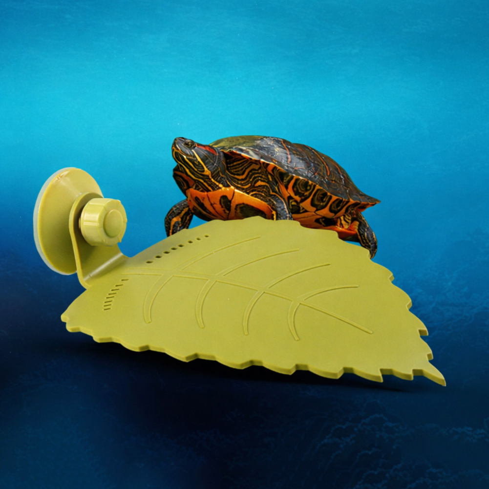 거북이 나뭇잎 모양 쉼터