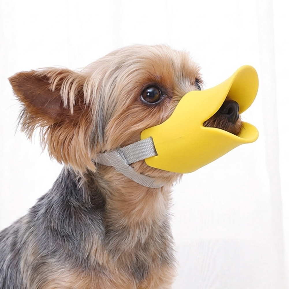산책용 강아지 오리모양 입마개