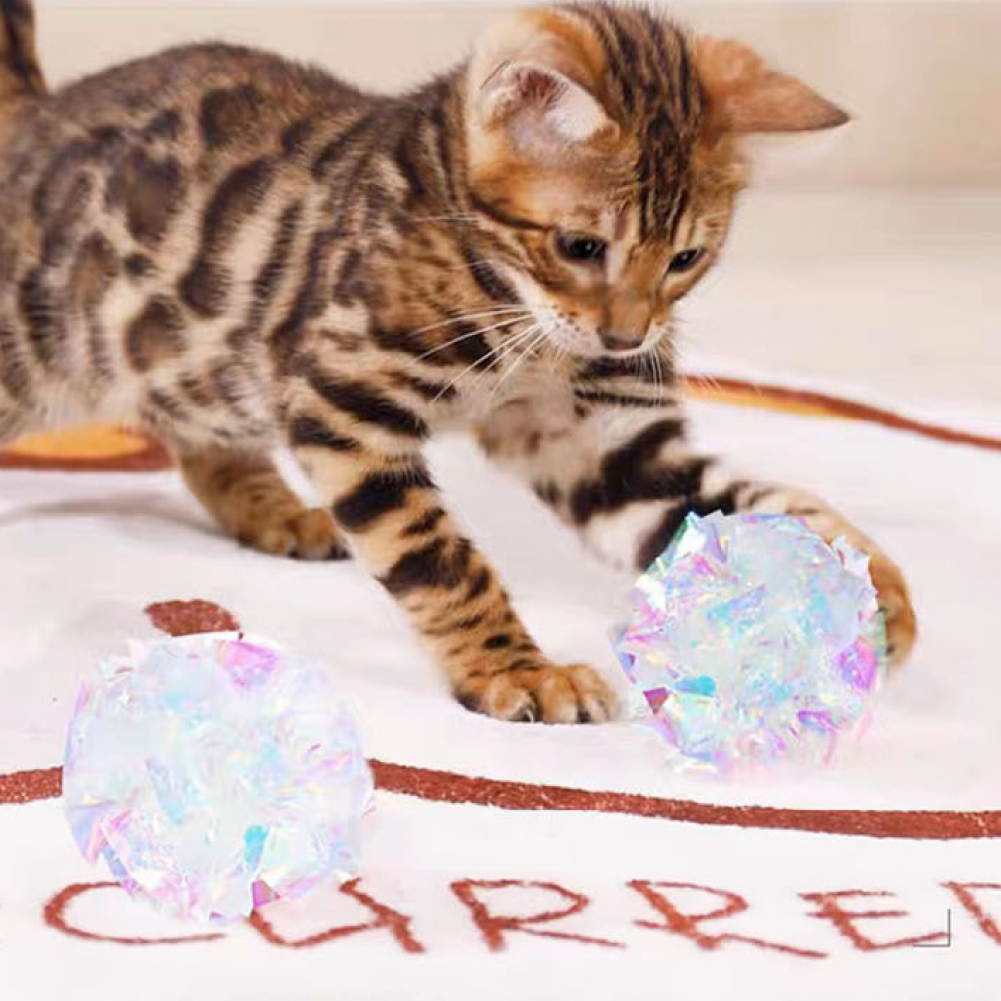 반짝 홀로그램 바스락 캣볼
