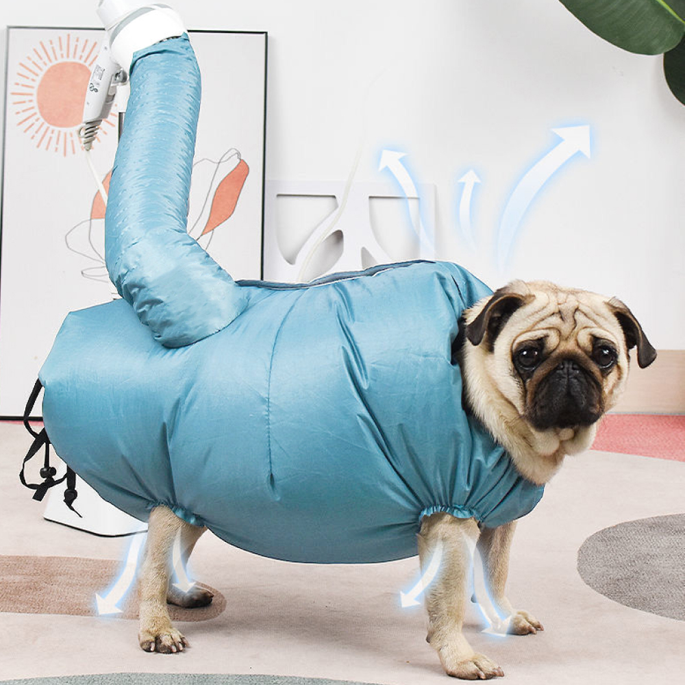 반려견 건조 드라이복