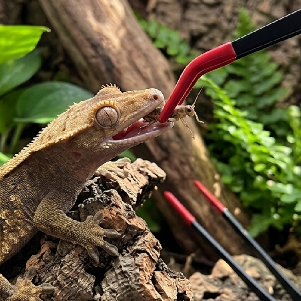 파충류 먹이 장핀셋
