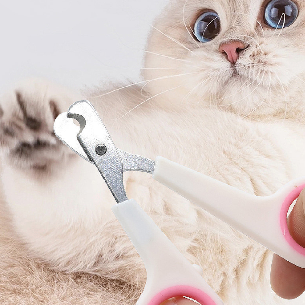 파스텔 고양이 발톱깎이