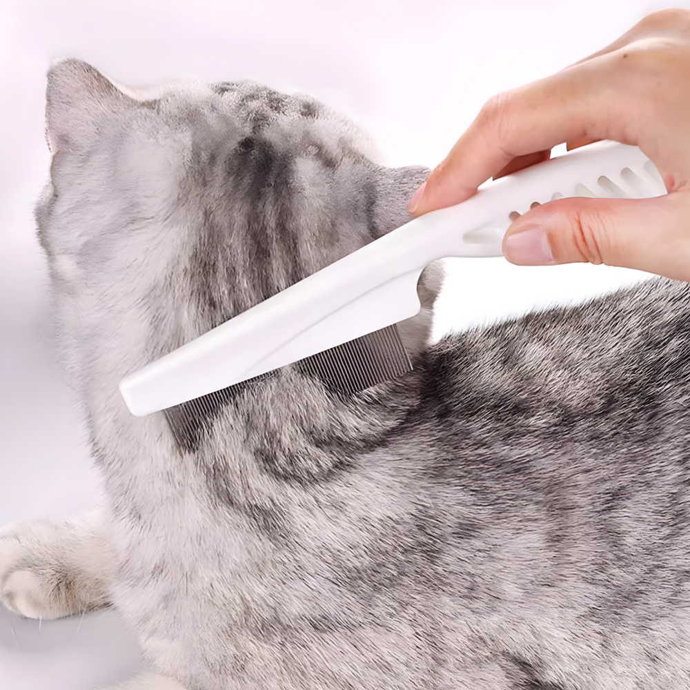 강아지 고양이 일자빗 털관리 브러쉬