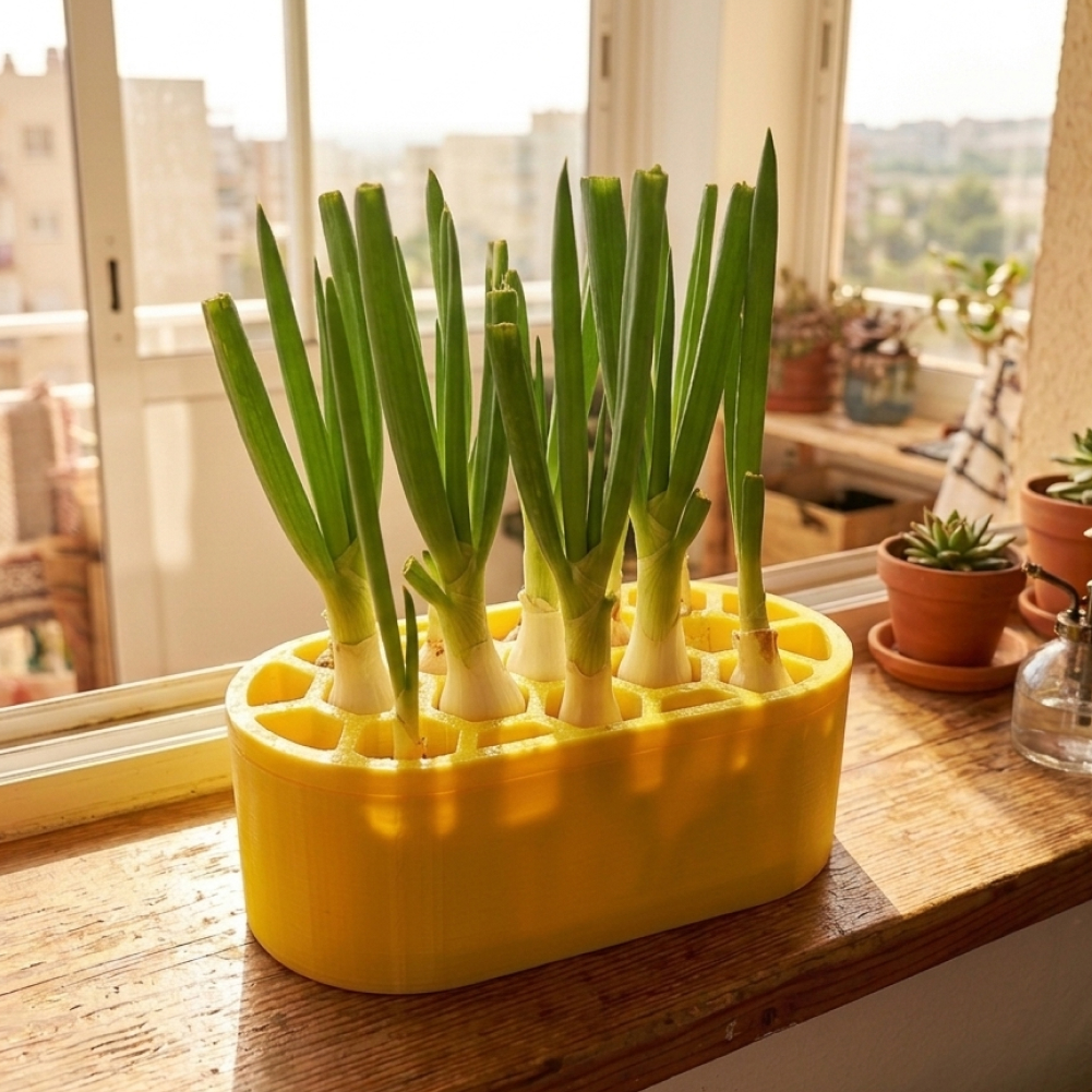 파 재배 키트 베란다 텃밭용