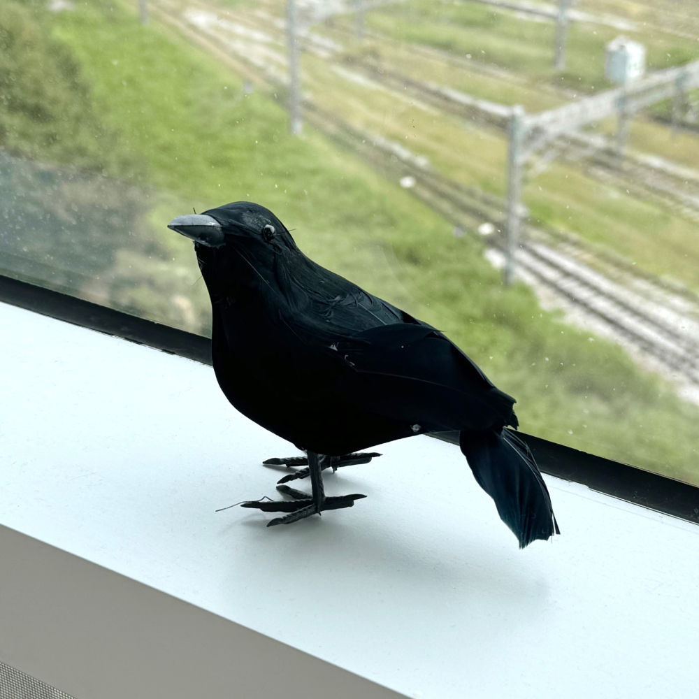 까마귀 조각상