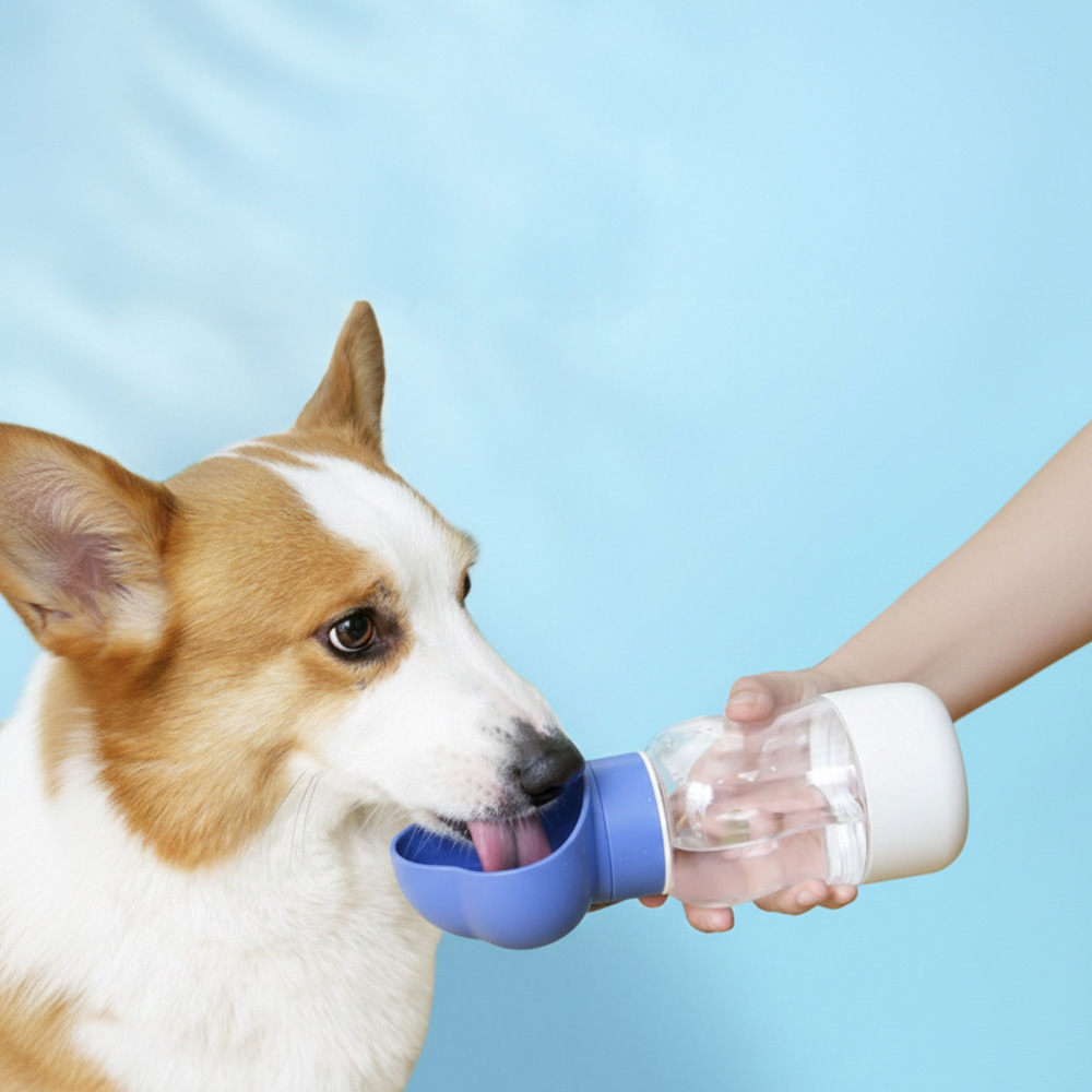애견 3M리드줄 물통 산책세트